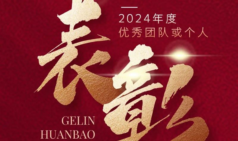 阁林先锋 榜样力量 | 2024年度优秀团队或个人表彰名单