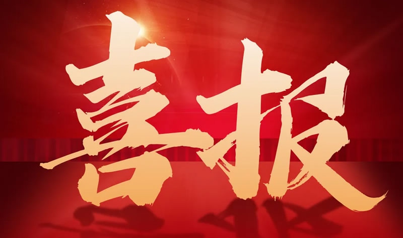 喜报 | 阁林环保入选2024年重庆市中小型硬科技企业帮扶库