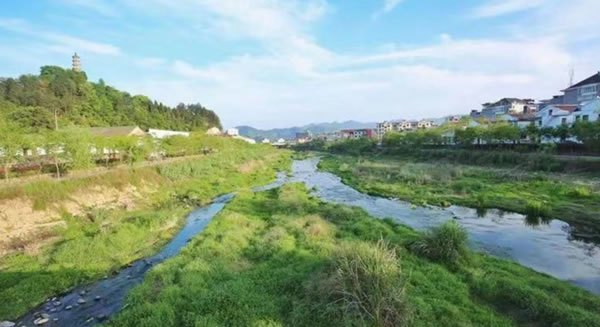 山东小鱼鸟河黑臭水体综合整治工程