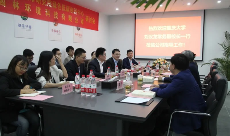 阁林新闻 | 重庆大学常务副校长刘汉龙一行到阁林环保调研交流