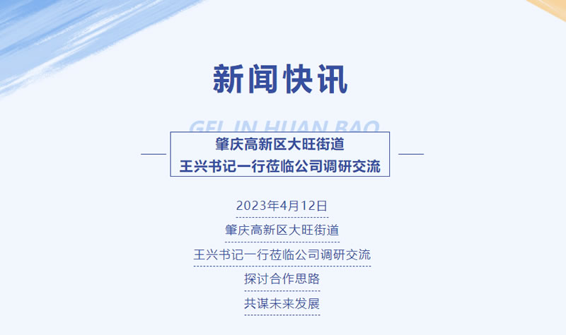 新闻快讯 | 肇庆高新区大旺街道王兴书记一行莅临公司调研交流