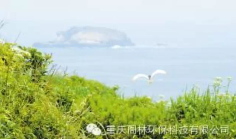 环境修复投资需超十万亿