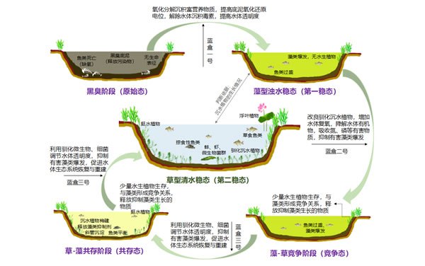 Five states ecological restoration 技术工艺包与产品